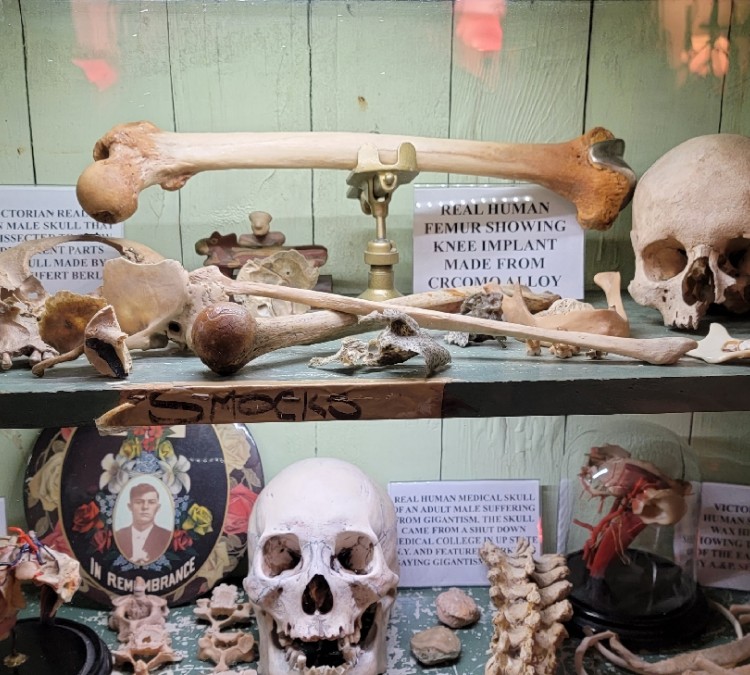 ANATOMY OF DEATH MUSEUM (Mount&nbspClemens,&nbspMI)